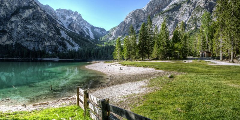 pexels-eberhardgross-534164 pexels-eberhardgross-534164